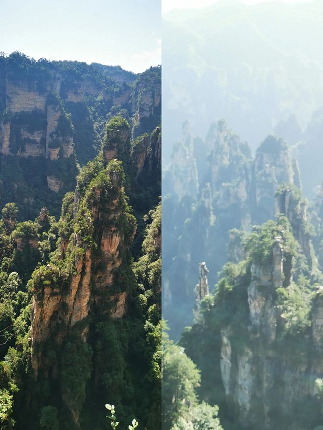 仙境般神秘的張家界天子山，一起探索吧