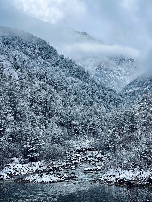 不是新疆去不起而是川西更有性價比