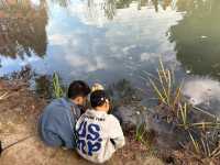 絕美濕地公園自然主義的天堂