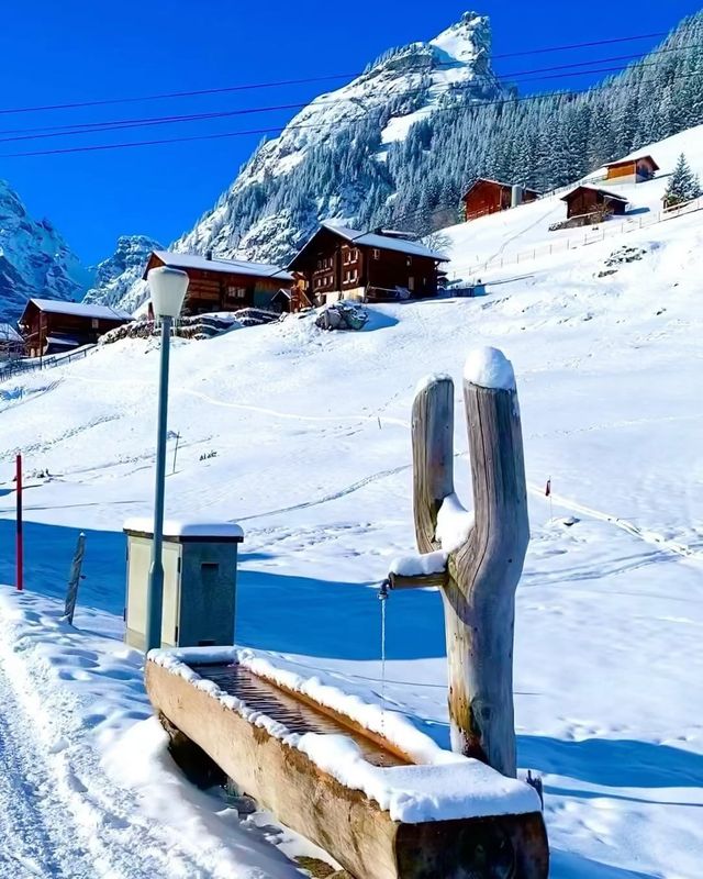 Snowy Escapade in the Swiss Alps ❄️🏞️