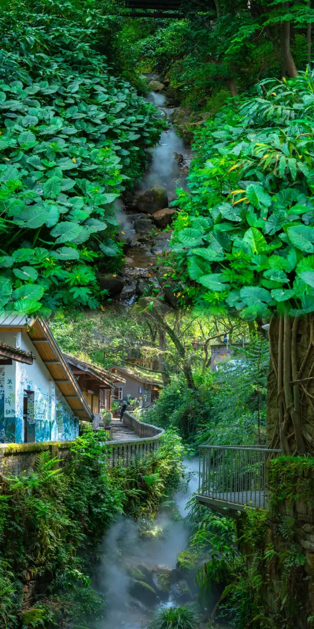 Unveiling the hidden corners of Chongqing: Jingangbei Ancient Village, a tranquil journey through time and space