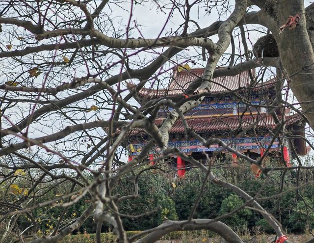 庐江冶父山丨素有“江北小九华”之美称