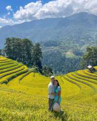 Mu Cang Chai: A Golden Tapestry Unveiled in Northern Vietnam