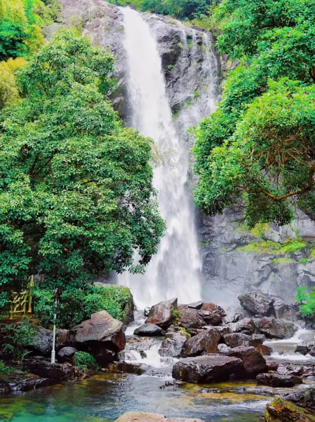 Just an hour away from Ningbo city center, there lies such a stunningly beautiful 'Baizhang Cliff'