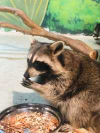 週末遛孩子去哪兒？南京海昌海洋世界探索館