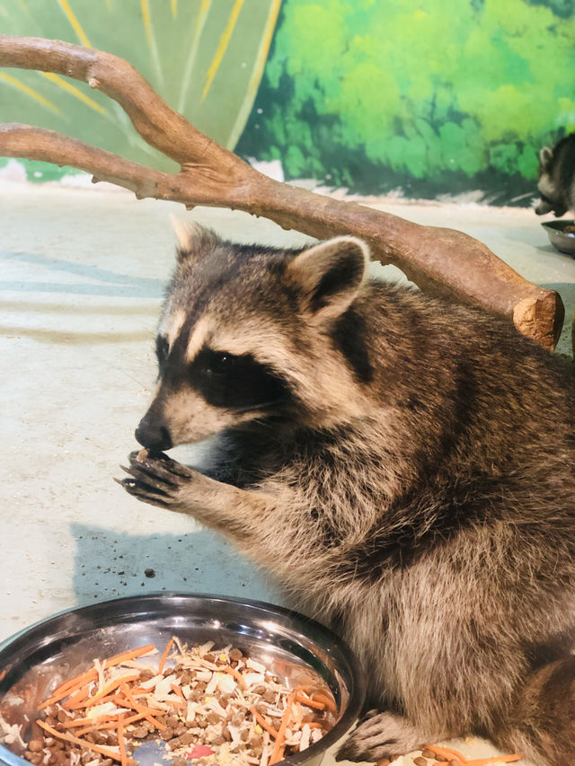 週末遛孩子去哪兒？南京海昌海洋世界探索館