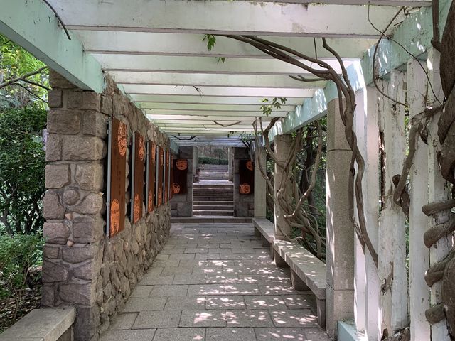 青島觀象山 青島觀象山