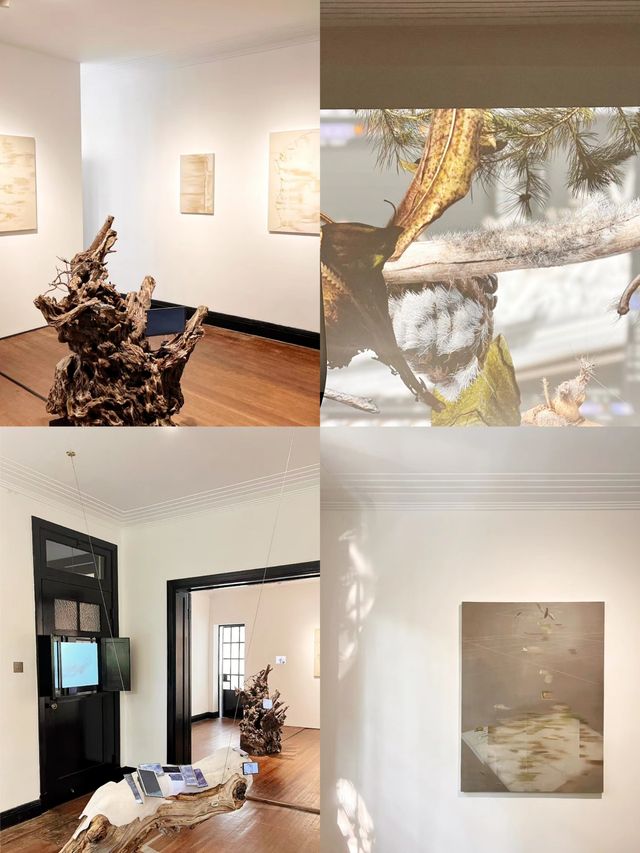 魔都免費新展|讓時間慢下來感受呼吸