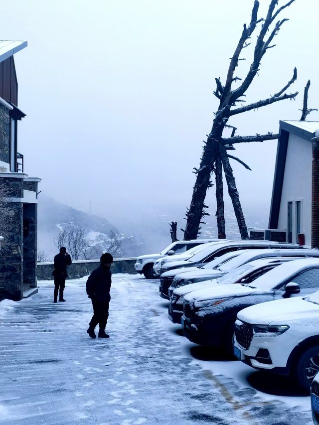 降雪預警！雪中的嘎爾莊園更美了～