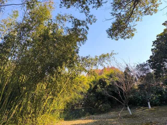 昆山安亭一日遊