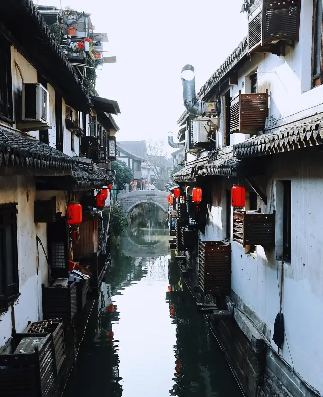 A food-filled trip to Nanxiang Ancient Town!