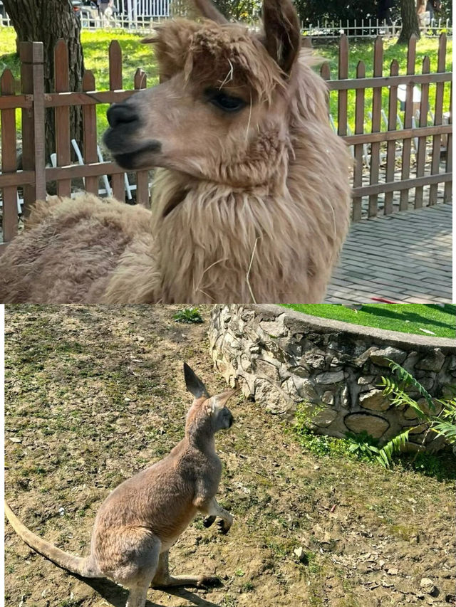 西安|秦嶺野生動物園避雷指南|||