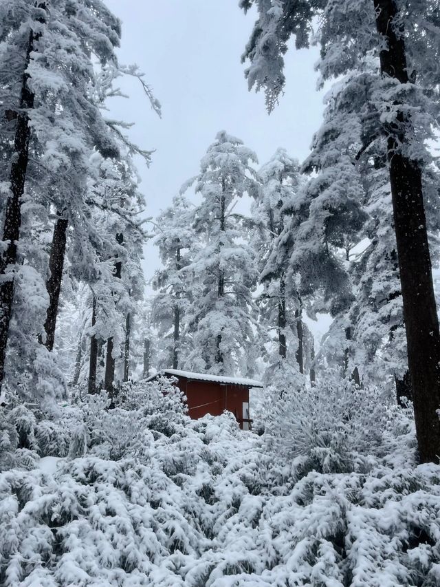 冬日必去瓦屋山現實版雪國童話世界