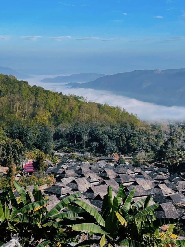 景迈山，這是一片藏在雲端的隱世秘境