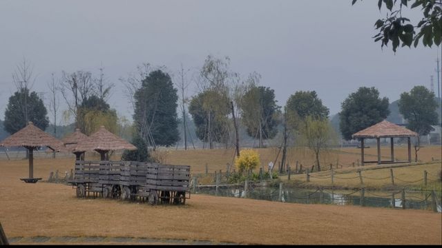 江浙滬冷門古鎮荻浦村