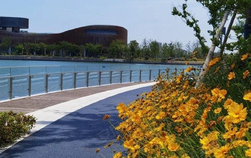魔都的一個超級大公園完全免費可以逛一整天