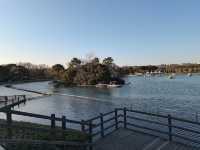 閔行體育公園