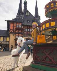 TOP 10 PLACES IN THE HARZ MOUNTAINS, GERMANY 🇩🇪