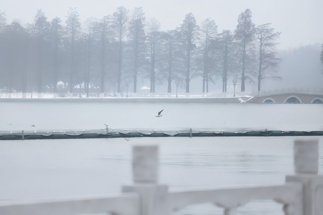 看看下雪天的東湖 /碧潭觀雪