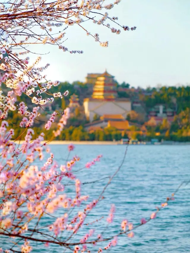 Life advice: In March in Beijing, you must visit the Summer Palace at least once