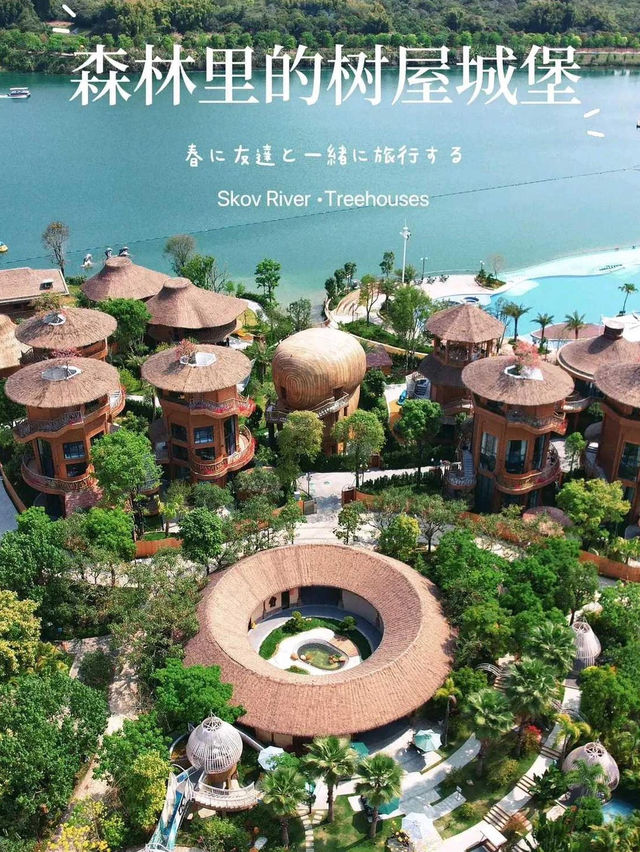 「🌸森林海溫泉度假酒店」：享受森林風情，慢時光