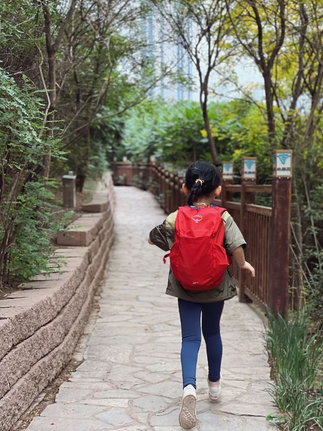 天津踏青｜不出遠門去徒步，爬山遊船餵天鵝的寶藏公園