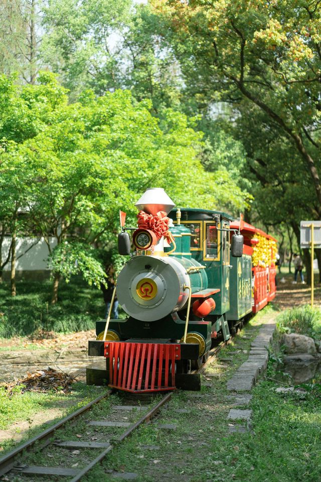 上海免費的公園，裡面有現實版的莫奈花園