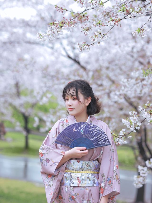 我願稱之為上海賞櫻天花板——辰山植物園