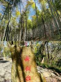 上海天馬山，千年斜塔屹立，此地好風水