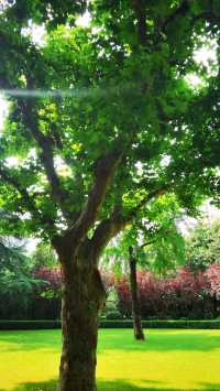 淮海公園：由外國人公墓改建而來的公園