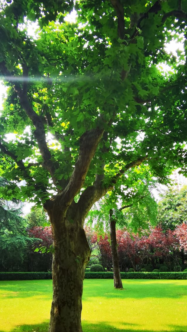 淮海公園：由外國人公墓改建而來的公園