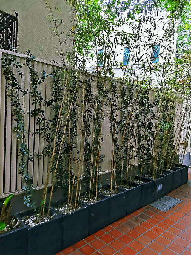 漫遊上海—衡復風貌館