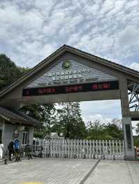 雅安碧峰峽風景區二日遊