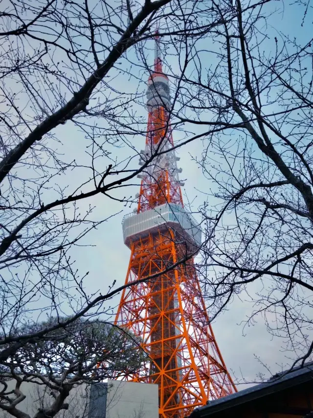 No queuing for free, a niche photography spot for Tokyo Tower with a location map