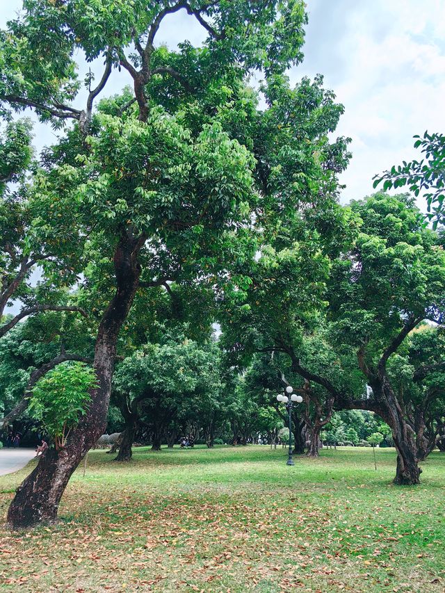 深圳荔枝公園