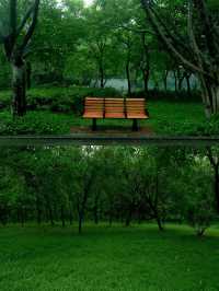 深圳公園拍照|愛上雨天的綠色！孩子花海！