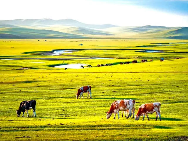 Hulunbuir Travel Guide Super Detailed Version