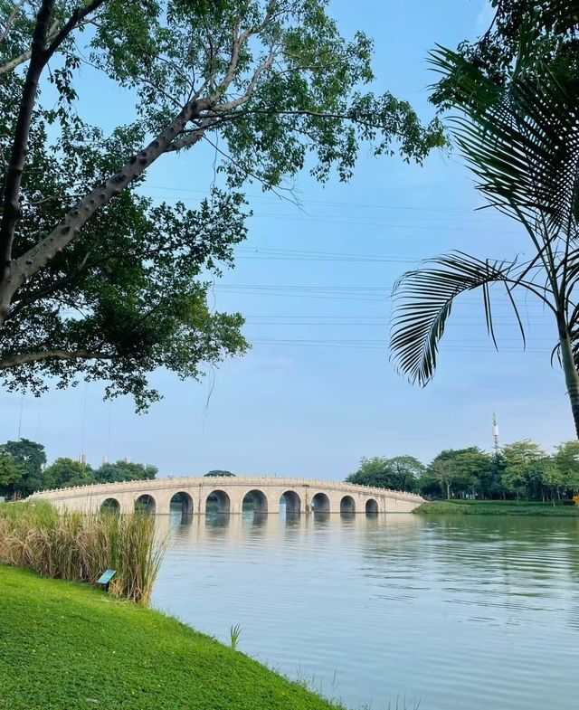 順峰山公園美景