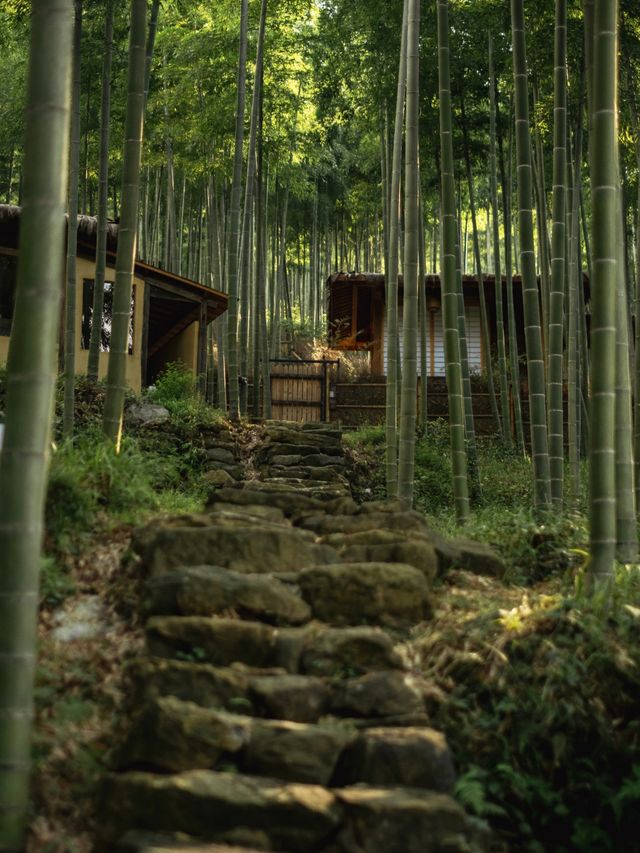 住到不想走！安吉山林裡的神仙秋景