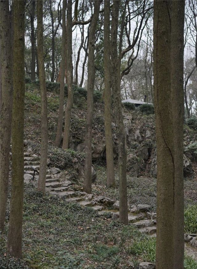 杭州小小眾景點—茶葉博物館（龍井館）