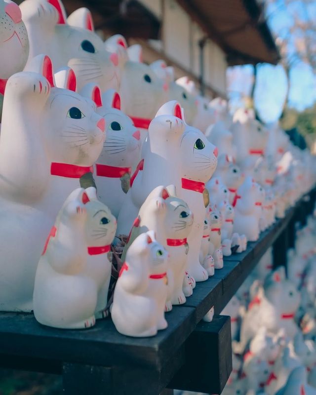 豪德寺｜東京招財貓的神社