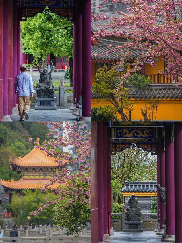 春天一定不能錯過的美景