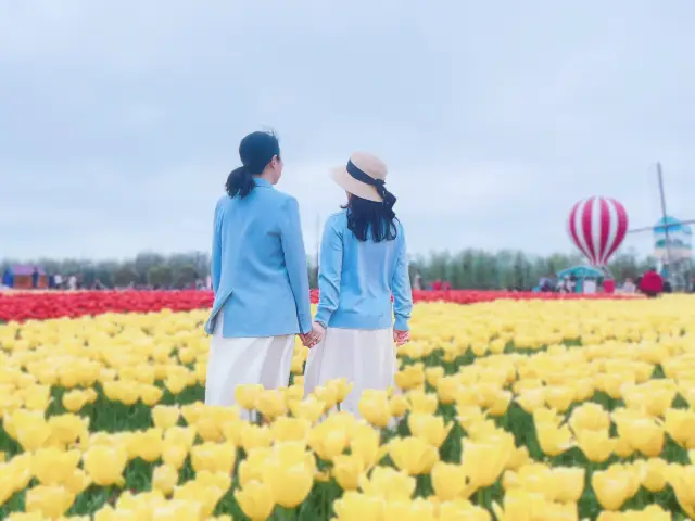 Yancheng's Dutch Flower Sea meets spring