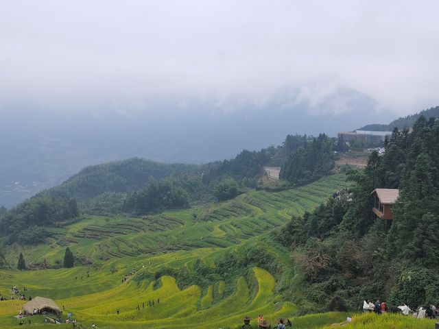 華東最美梯田！