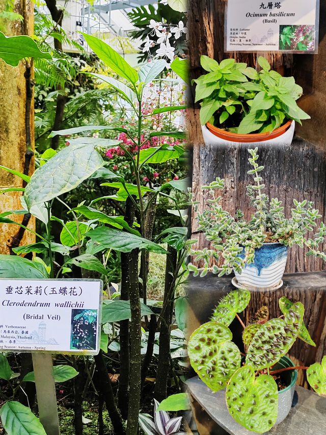港島中環附近人少景美的寶藏地