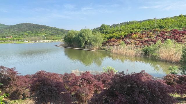 南京浦口老山森林公園