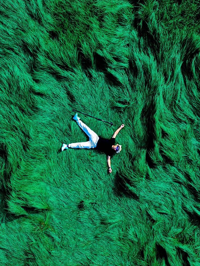 我在貴陽周邊發現了貴州小版鄱陽湖，「肆意生長」的綠草，當風吹過，這裡就成了綠色的海洋