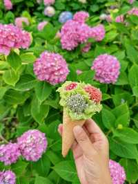 成都周邊開滿無盡夏的古寺，太美了！