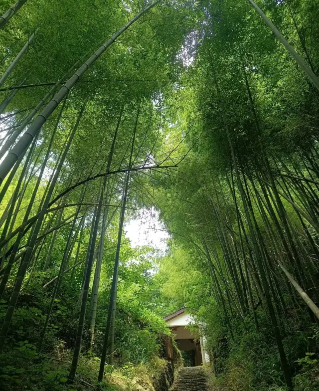 Yunsongling Ancient Trail