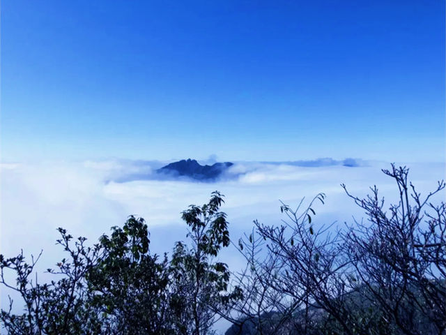 打卡皇后山一感受茶梯田風光。